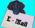info@national-vet.com